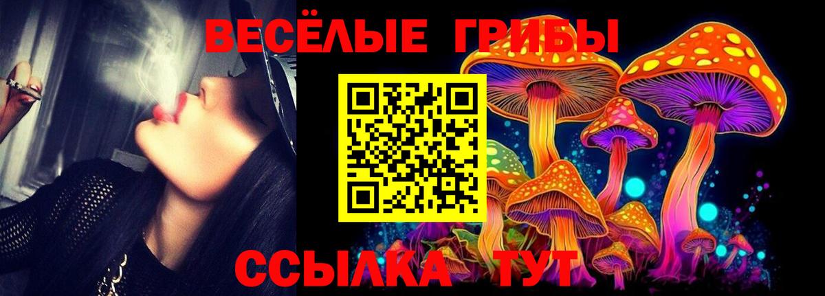 Галлюциногенные грибы Magic Shrooms  Псилоцибиновые грибы GOLDEN TEACHER  Вход с VPN  Асбест 