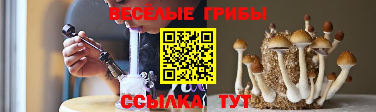 Псилоцибиновые грибы Cubensis Асбест